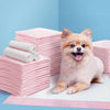 i.Pet Pet Training Pads 200pcs 60x60cm Puppy Dog Toilet Pee Indoor Super Absorbent Pink