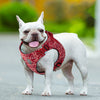 Floral Doggy Harness Red S