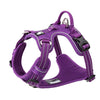 No Pull Harness Purple XL