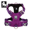 Lightweight Harness Purple M