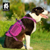 Whinhyepet Military Harness Purple M