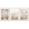 Wall Art 40cmx60cm Dried Flower 3 Sets Wood Frame Canvas