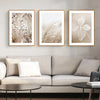 Wall Art 40cmx60cm Dried Flower 3 Sets Wood Frame Canvas