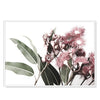 Wall Art 60cmx90cm Eucalyptus in Bloom White Frame Canvas