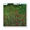 Wall Art 70cmx70cm Field of Poppies by Gustav Klimt White Frame Canvas