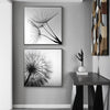 Wall Art 50cmx50cm Black and white dandelion 2 Sets Black Frame Canvas