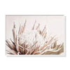 Wall Art 60cmx90cm Pure Protea II White Frame Canvas