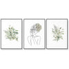 Wall Art 60cmx90cm Botanical Line Girl 3 Sets Black Frame Canvas