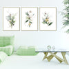 Wall Art 40cmx60cm Green and Gold Watercolor Botanical 3 Sets Gold Frame Canvas