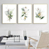 Wall Art 50cmx70cm Green and Gold Watercolor Botanical 3 Sets Gold Frame Canvas