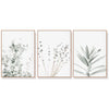 Wall Art 80cmx120cm Lavender Eucalyptus 3 Sets Wood Frame Canvas