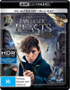 Fantastic Beasts and Where to Find Them UHD