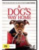 A Dog's Way Home DVD