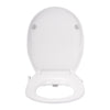 Amirra Non-electric Bidet Seat