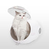 FLOOFI Smart Pet Carrier (White) FI-PC-141-AW