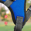 FLOOFI Dog Harness M Size (Blue) FI-PC-151-XL