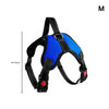 FLOOFI Dog Harness M Size (Blue) FI-PC-151-XL