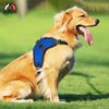 FLOOFI Dog Harness XXL Size (Blue) FI-PC-163-XL