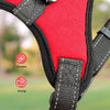 FLOOFI Dog Harness L Size (Red) FI-PC-156-XL