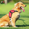 FLOOFI XXL Size Dog Harness XXL Size (Red) FI-PC-164-XL