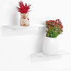 GOMINIMO Acrylic Floating Wall Shelves Set of 2 with Cable Clips (White) GO-FWS-103-SYD