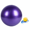 Verpeak Yoga Ball 65cm (Purple) FT-YB-104-SD