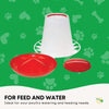 6Kg Automatic Chicken Feeder - Plastic Poultry Chook Hen Feeding Seed Bucket