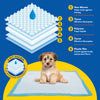 Pet Basic 360PCE 60cm Puppy Training Pads Highly Absorbent 5 Ply Design