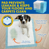 Pet Basic 72PCE 60cm Puppy Training Pads Highly Absorbent 5 Ply Design