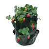 Garden Greens 12PCE Planter Bags Mould Proof UV Resistant Collapsible 60cm