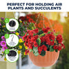 Garden Greens 12PCE Hanging Planter Pots Terracotta & Green Removable Chain