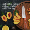 KIWI 12PCE Fruit Knife Premium Professional Range Tempered Steel Blade 19.5cm