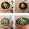 10x 8cm Flower Pot Pots Clay Ceramic Plant Drain Hole Succulent Cactus Nursery Planter