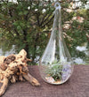 10 Pack of Hanging Clear Glass Tealight Candle Holder Tear Drop Pear Hour Glass Shape - 20cm High Terrarium Plant Mini Garden Holder Decoration Craft Gift