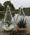 4 Pack of Hanging Clear Glass Tealight Candle Holder Tear Drop Pear Hour Glass Shape - 20cm High Terrarium Plant Mini Garden Holder Decoration Craft Gift