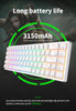 ROYAL KLUDGE RK68 Wireless Hot Swap White 65% Mechanical Keyboard, Red Switch