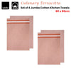 Ladelle Culinary Terracotta Cotton Set of 4 Jumbo Kitchen Towels 60 x 80 cm