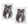 Set of 2 Delightful Dogs Cotton Kitchen Tea Towels 50 x 70 cm Staffy Terrier