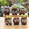 4/5/6 Pots Set Ceramic Clay Pottery Pots Succulent Flower Planter Draining Hole(Style 04# 6 Pots Set)