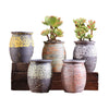 Ceramic Clay Pottery Pots Set Succulent Flower Planter Series 02(Style 02# 5 Pots Set)