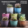 Ceramic Clay Pottery Pots Set Succulent Flower Planter Series 03(Style 01# 8 Pots Set)