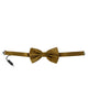 Exclusive Dolce &amp; Gabbana Silk Bow Tie One Size Men